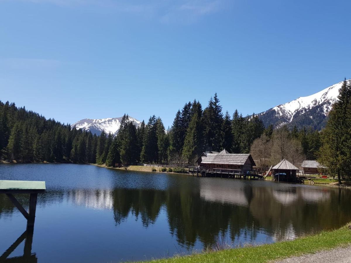 Milena-Huette Villa Hohentauern Luaran gambar