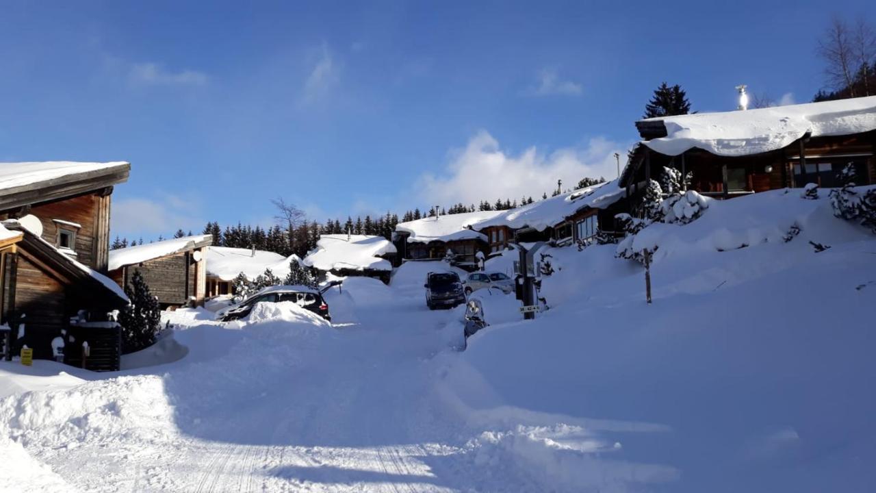 Milena-Huette Villa Hohentauern Luaran gambar